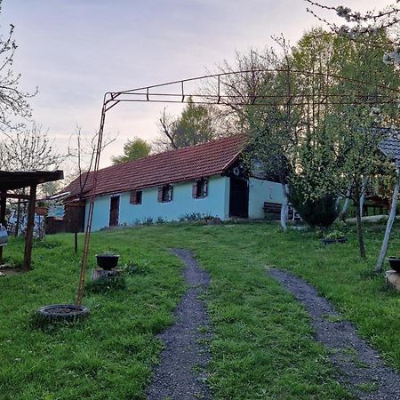 La Salasul Fermecat In Cheile Carasului Iabalcea Exteriér fotografie