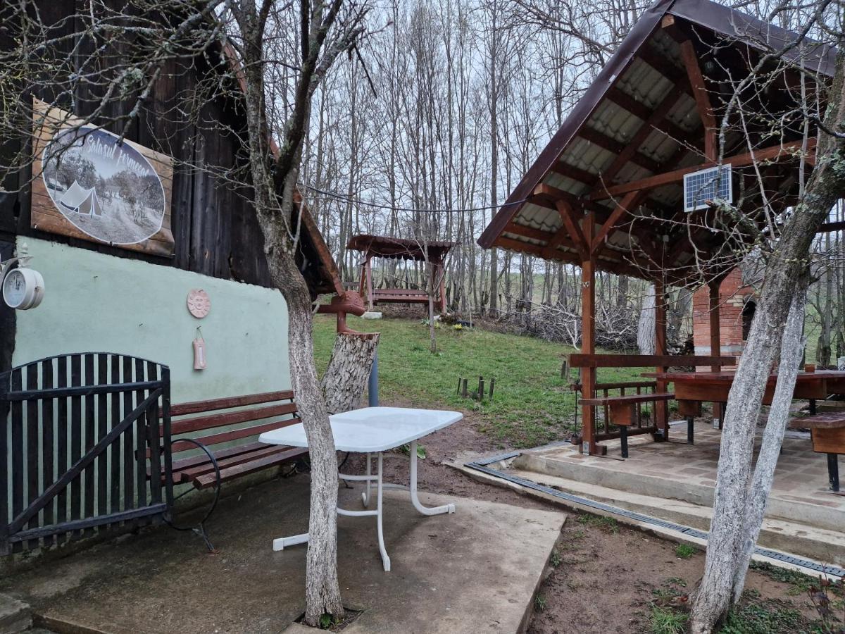 La Salasul Fermecat In Cheile Carasului Iabalcea Exteriér fotografie