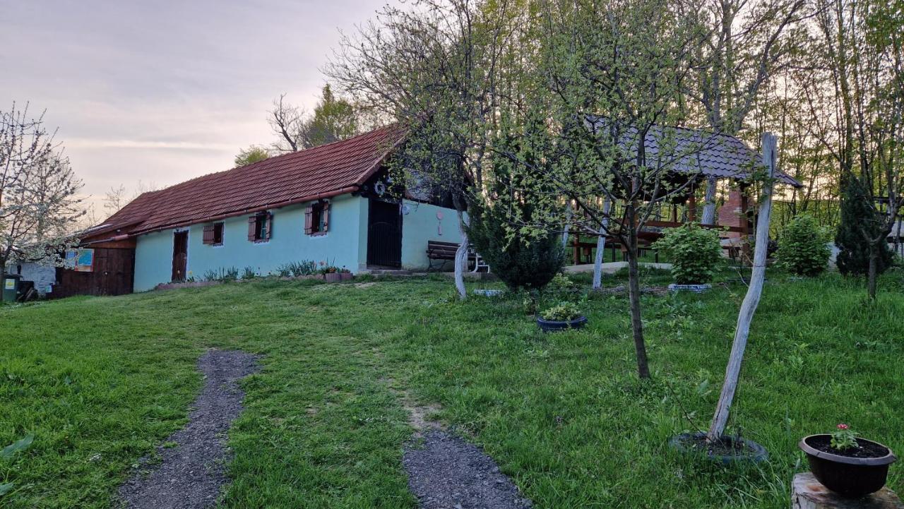 La Salasul Fermecat In Cheile Carasului Iabalcea Exteriér fotografie